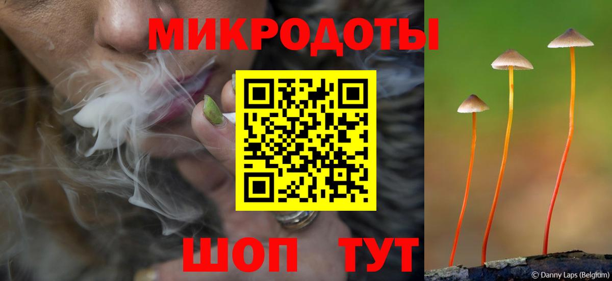 Галлюциногенные грибы Magic Shrooms Дивногорск