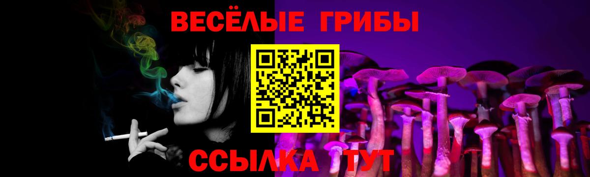 Дивногорск  Псилоцибиновые грибы Psilocybe  Вход с VPN  Псилоцибиновые грибы MAGIC MUSHROOMS 